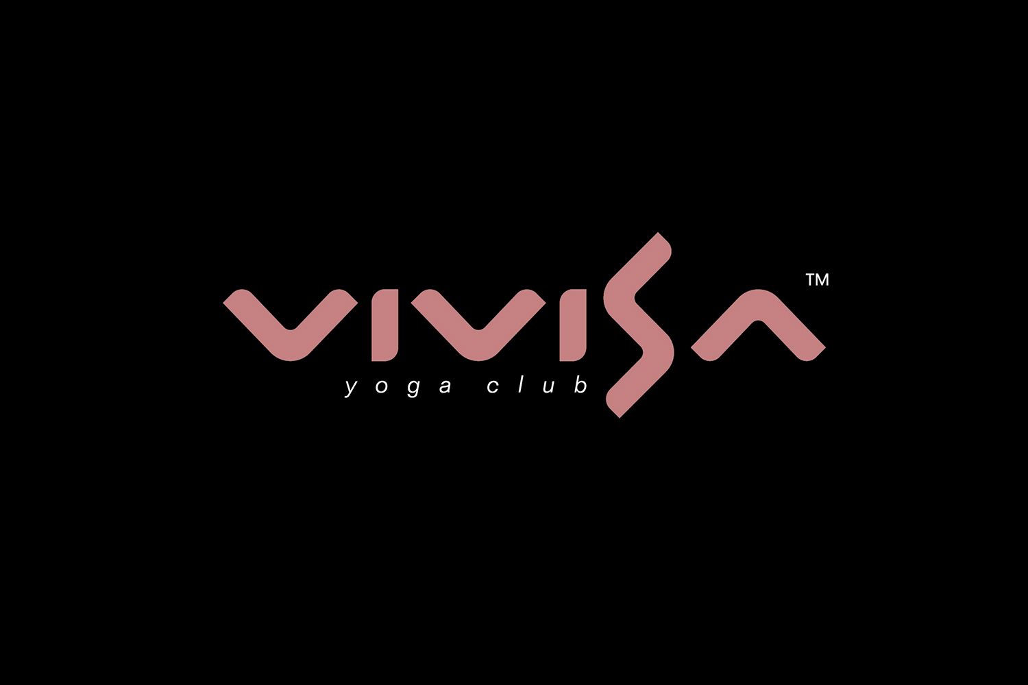 VIVISA | 维萨