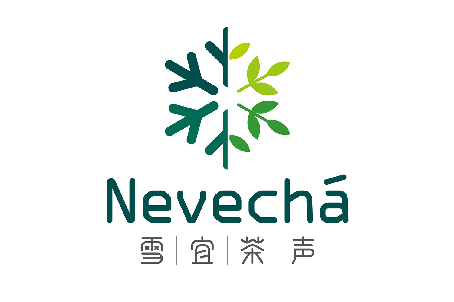 雪宜茶声 | NEVECHA