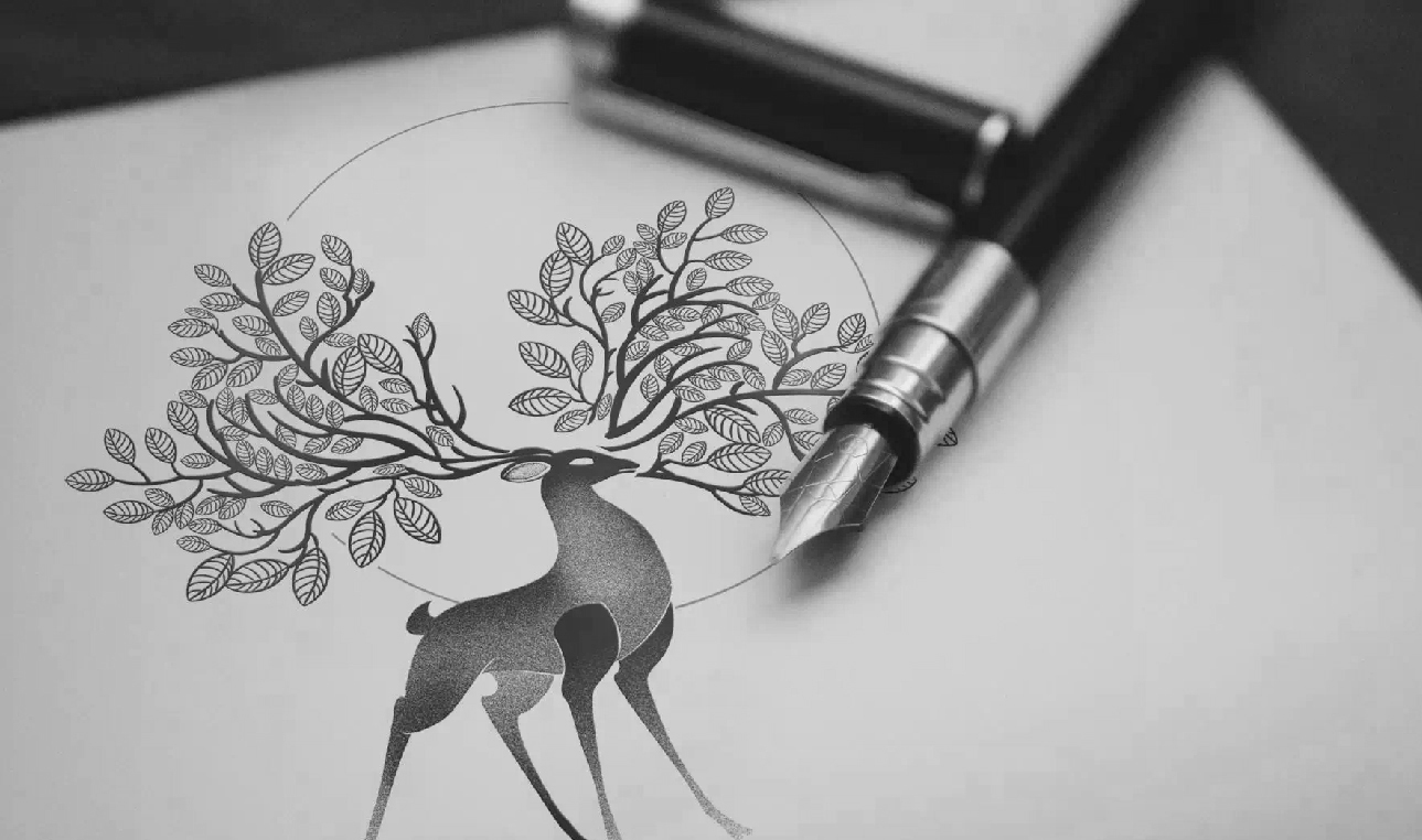 1551163363498.jpg 1551163363498.jpg