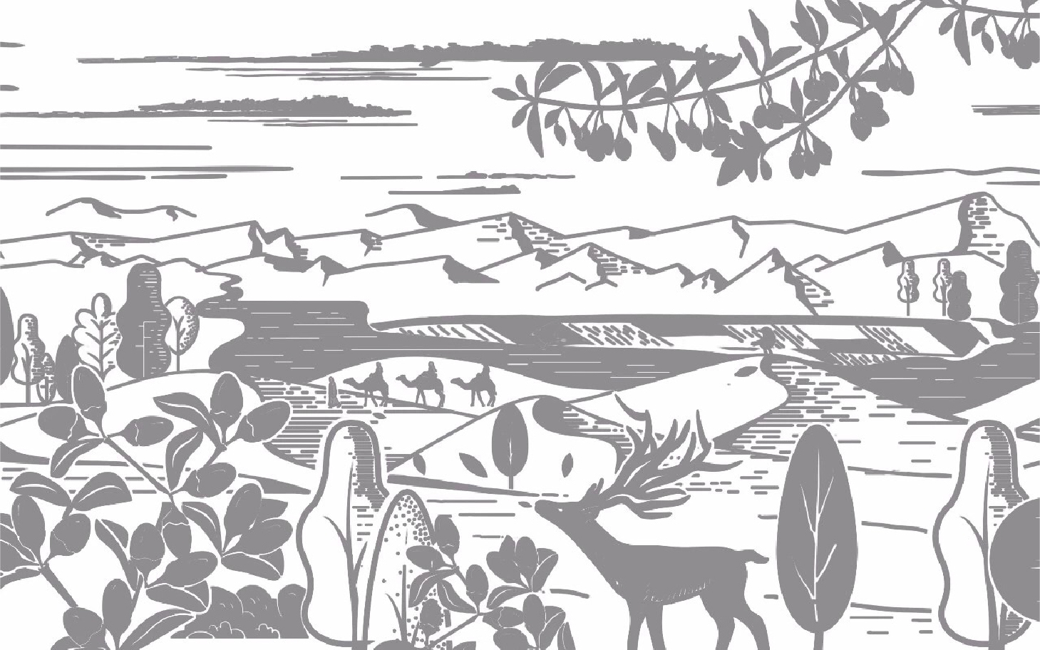 1551163450778.jpg 1551163450778.jpg