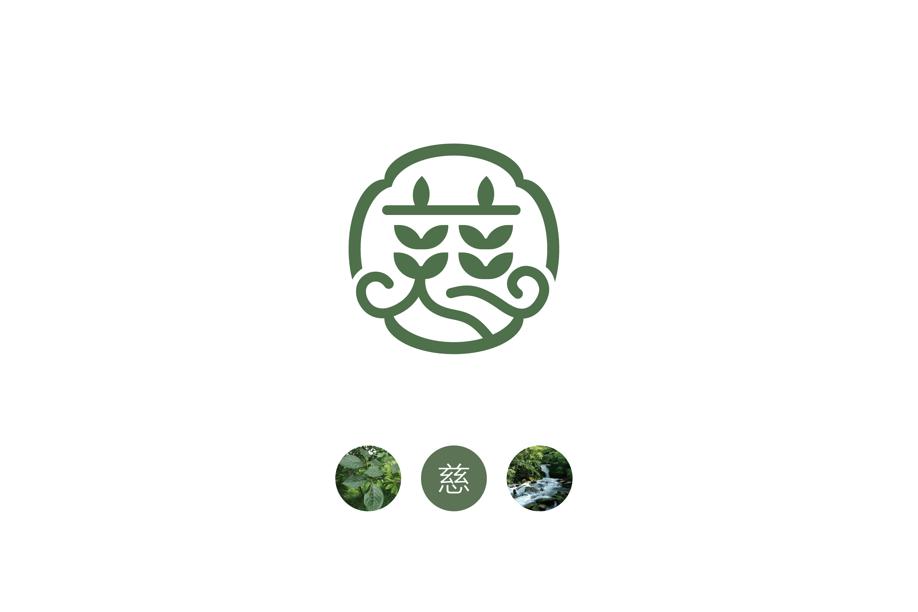 慈安堂_画板 1.jpg 慈安堂_画板 1.jpg