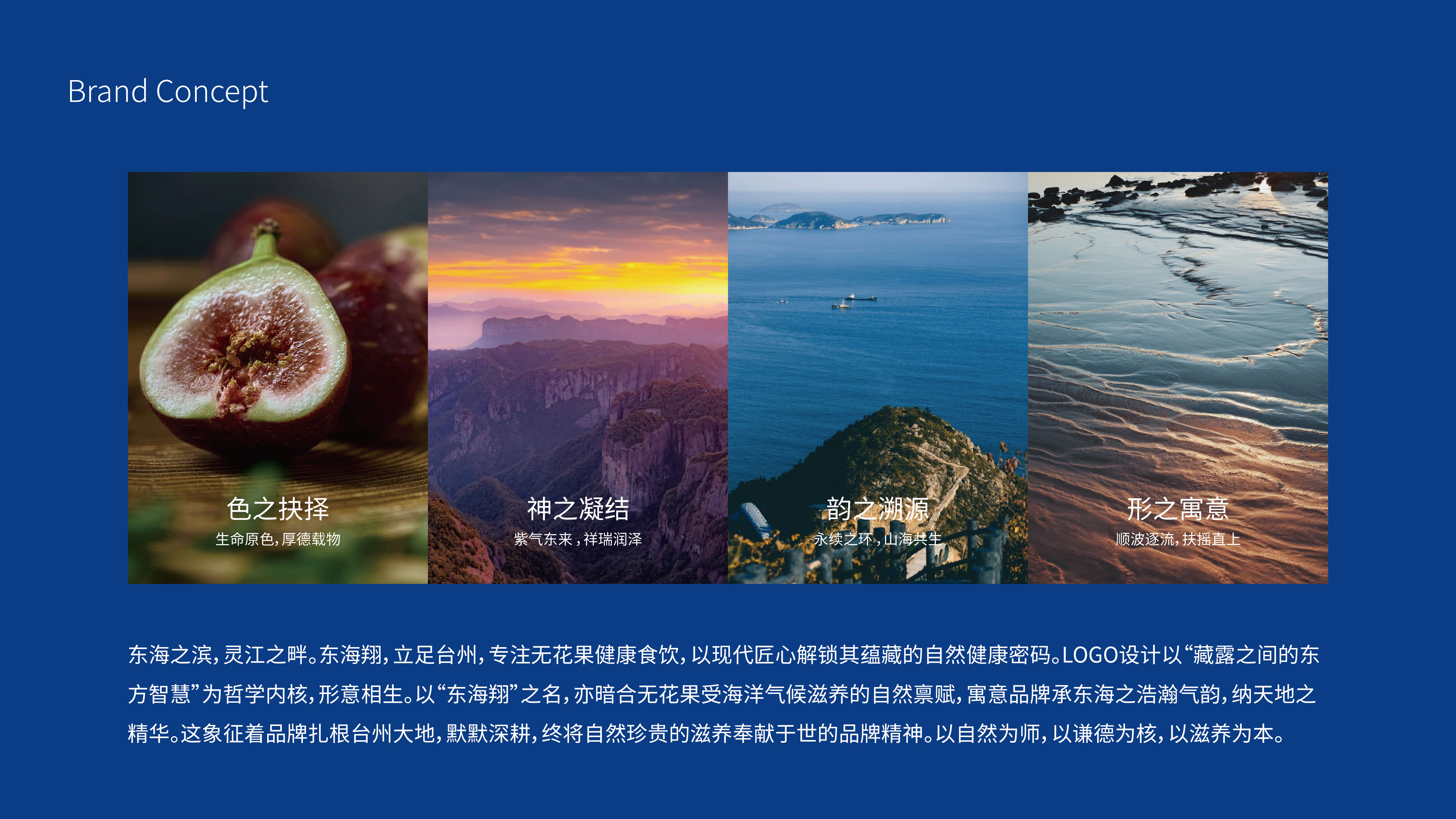 东海翔vi-02.png 东海翔vi-02.png