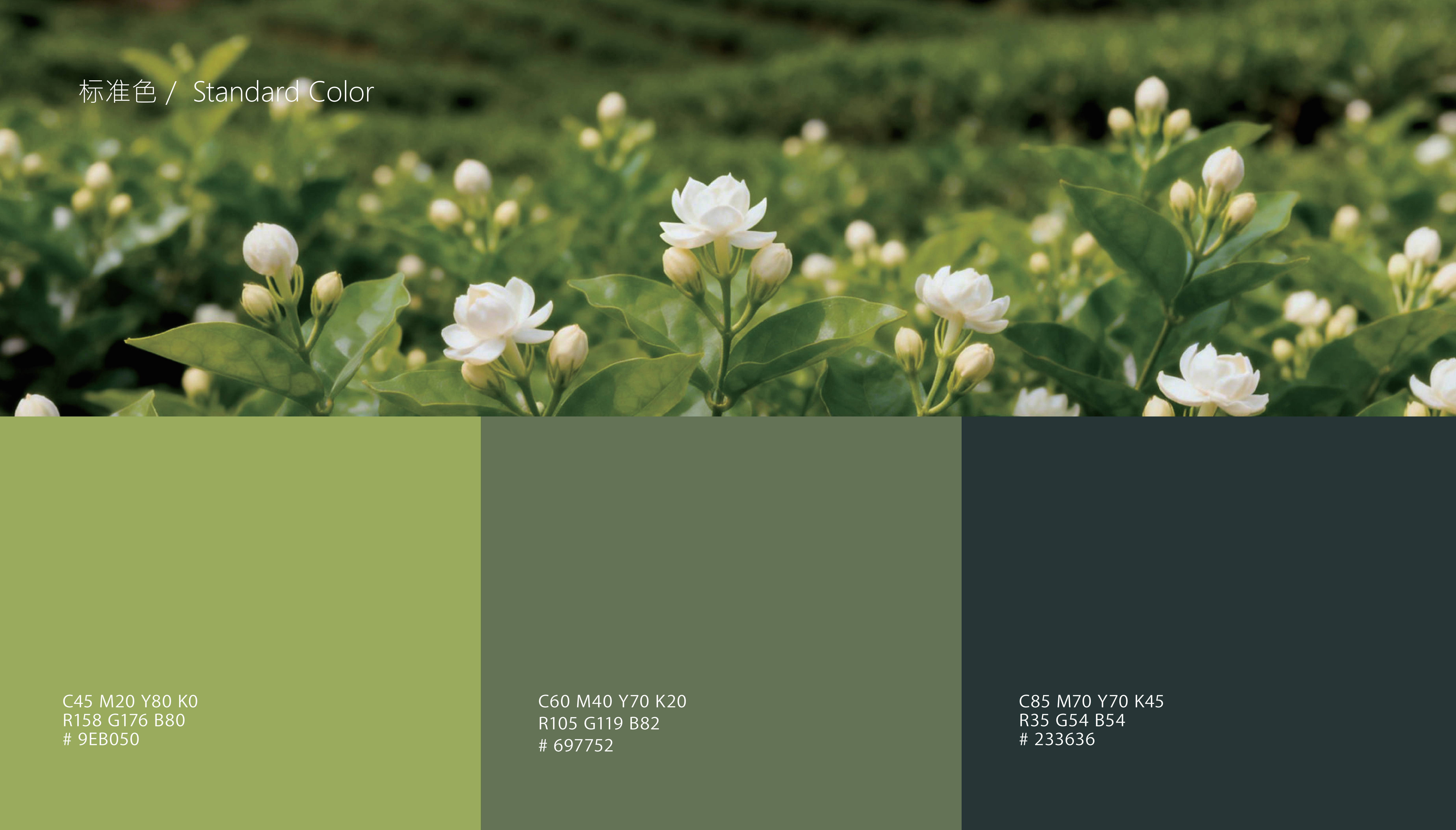 荀记茶铺提案1212_10.png 荀记茶铺提案1212_10.png